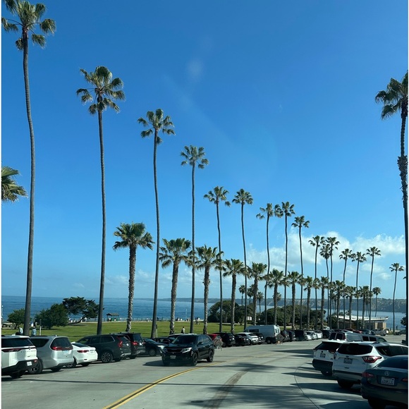 Meet your Posher, John John - Picture 1 of 1